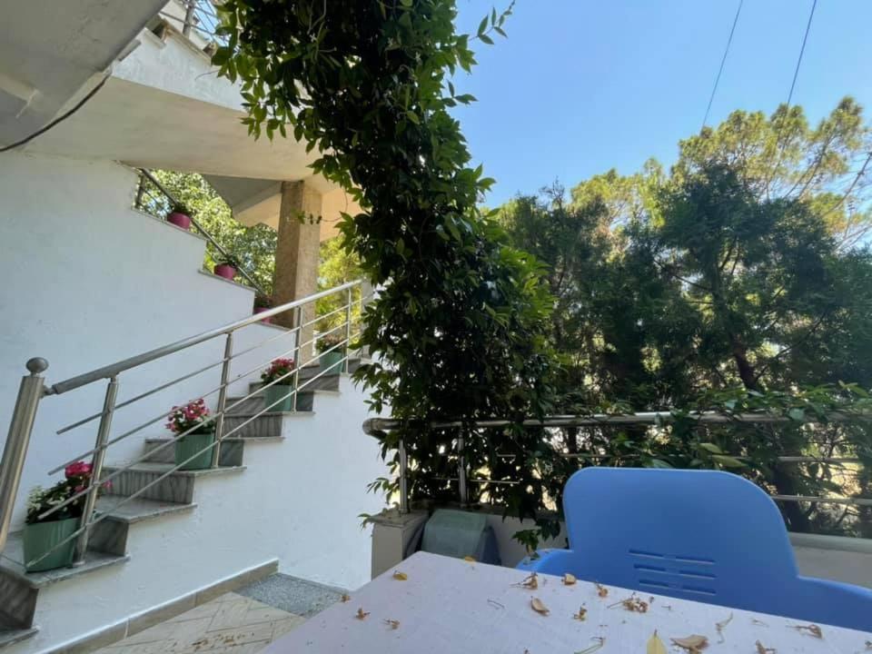 Velipojë Aparthotel Vila Tufi المظهر الخارجي الصورة